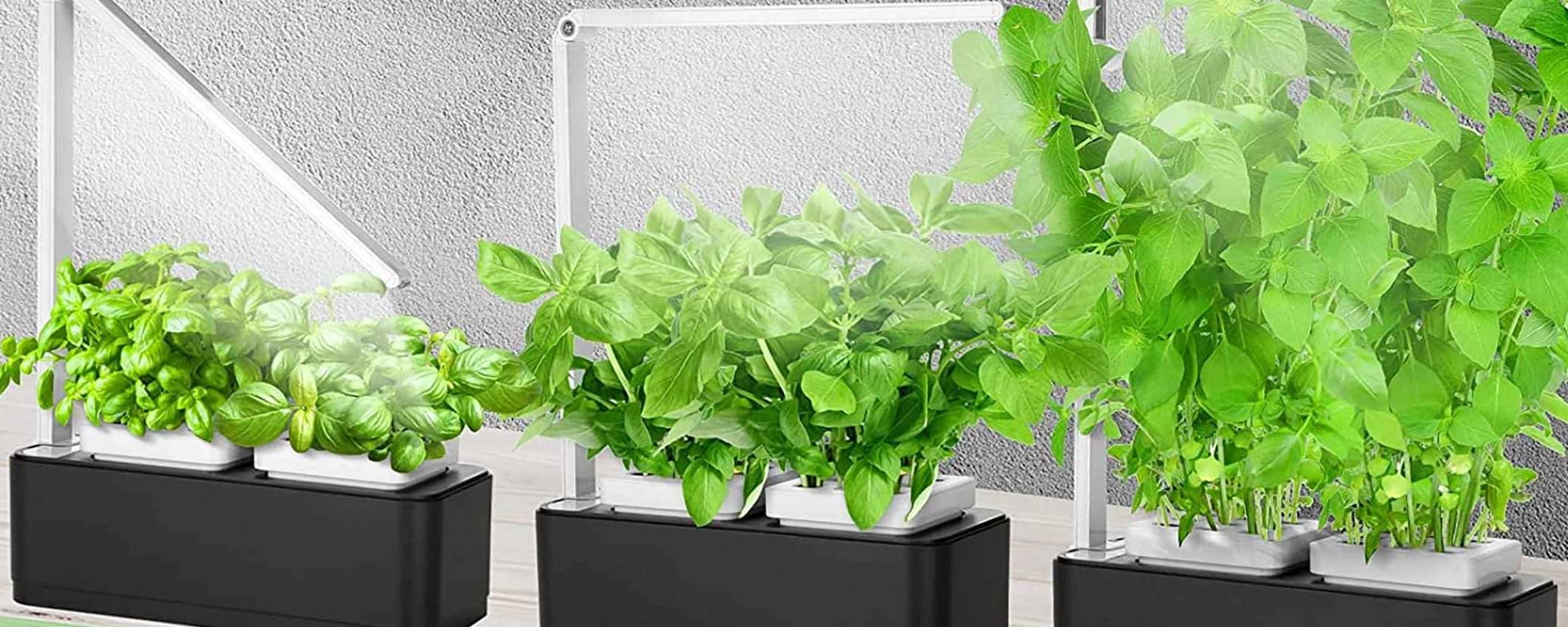 Orto urbano: questo smart garden è per te (SCONTO)