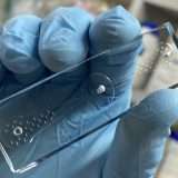 Dispositivo dotato di un verme potrebbe rilevare il cancro