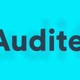Auditel, Total Audience: cos'è e come funziona