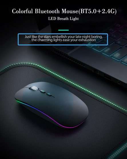 mouse wireless ricaricabile (1)