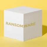Ransomware: il 76% delle aziende paga il riscatto