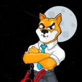 Shiba Inu si trova in bilico tra due destini