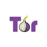 Perché è importante accedere a Tor usando una VPN?
