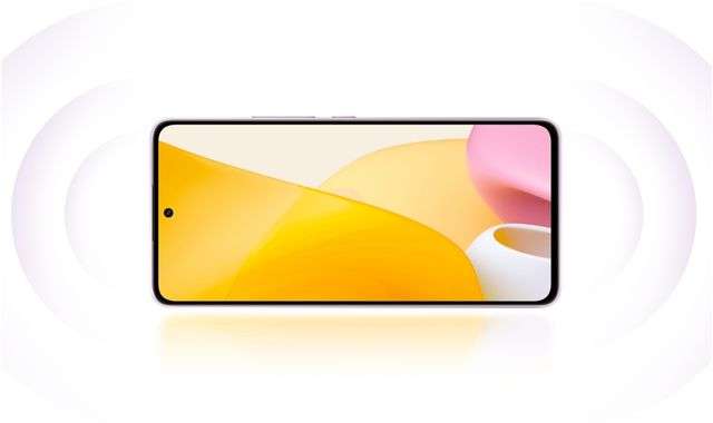 Xiaomi 12 Lite Global display