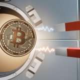 Bitcoin fonte di guadagno a lungo termine: come seguire Jordan Belfort