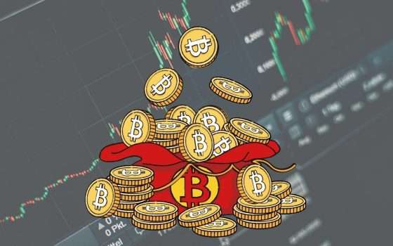 Bitcoin balza sopra i 24 mila dollari: volatilità confermata