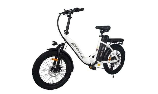 Bicicletta Elettrica Avaka BZ20