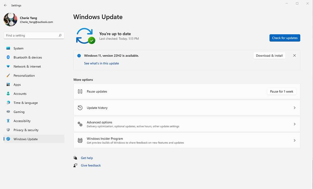 Windows 11 2022 Update, installazione su dispositivi W11