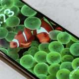 iPhone 14 Pro Max: il display è il migliore in assoluto