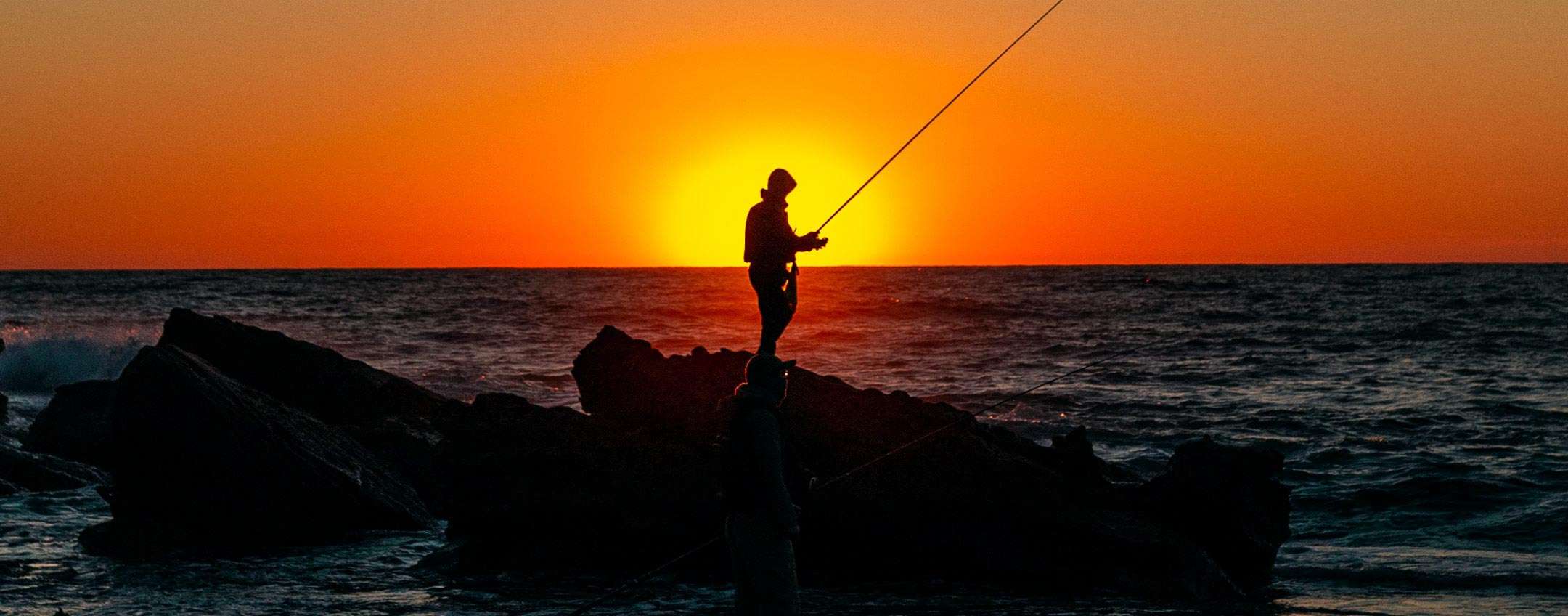 Phishing: una nuova tipologia di attacco, MPI - Vimarsana News