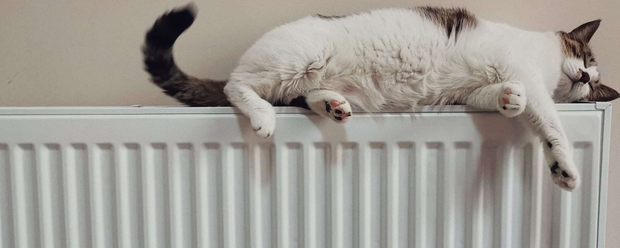 Consumo gas: nuovi limiti per i riscaldamenti