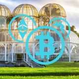 Criptovalute: in Brasile le tasse si potranno pagare in crypto