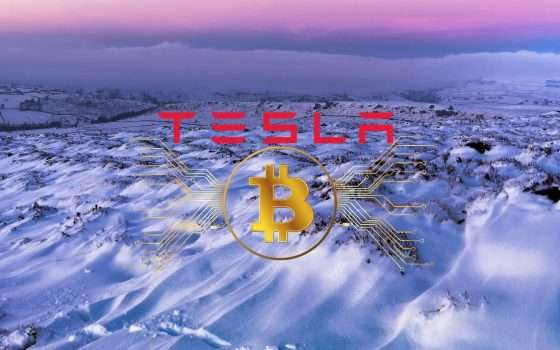 Tesla mantiene i suoi Bitcoin nonostante l'inverno crittografico