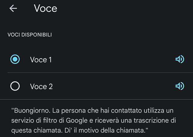 Le voci disponibili per il nuovo Filtro Chiamate di Google