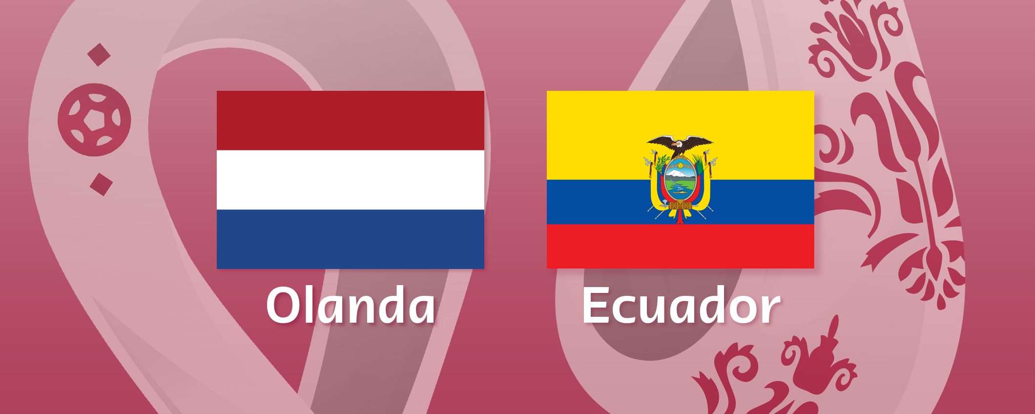 Come vedere Olanda-Ecuador in streaming (Mondiali)