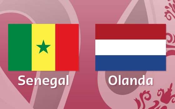 Come vedere Senegal-Olanda in streaming (Mondiali)