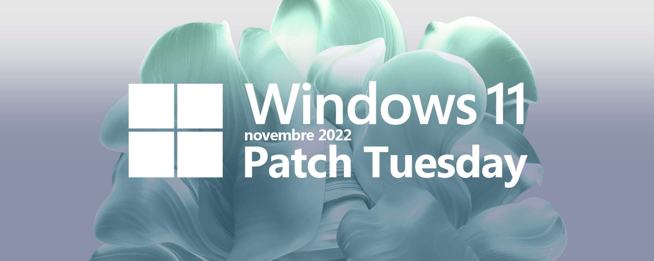 Windows 11: Microsoft conferma il bug delle app DirectX