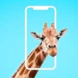 Apri un conto Credit Agricole: per te fino a 400€ in Buoni Amazon