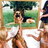 I milioni di Gunther in streaming: ecco il trailer