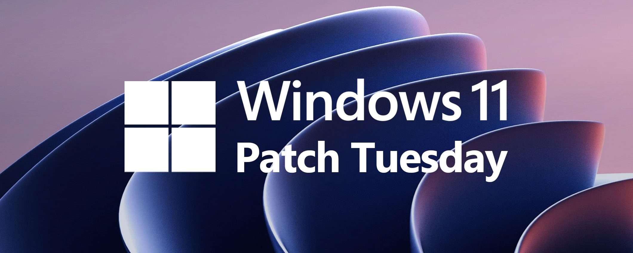 Windows 11: Patch Tuesday gennaio 2023 in download