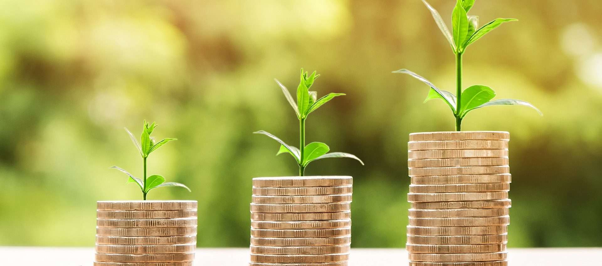 Conto Deposito: perché adesso è il momento migliore per investire