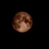 Samsung spiega perché le foto della Luna sembrano finte