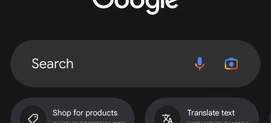 Google barra di ricerca app Android