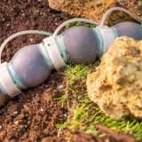 Robot lombrico: come funziona il prototipo dell'IIT