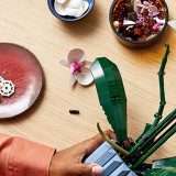 Arriva la primavera e l'orchidea LEGO va in sconto