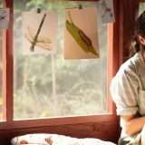 La Ragazza della Palude, come guardare il film in streaming