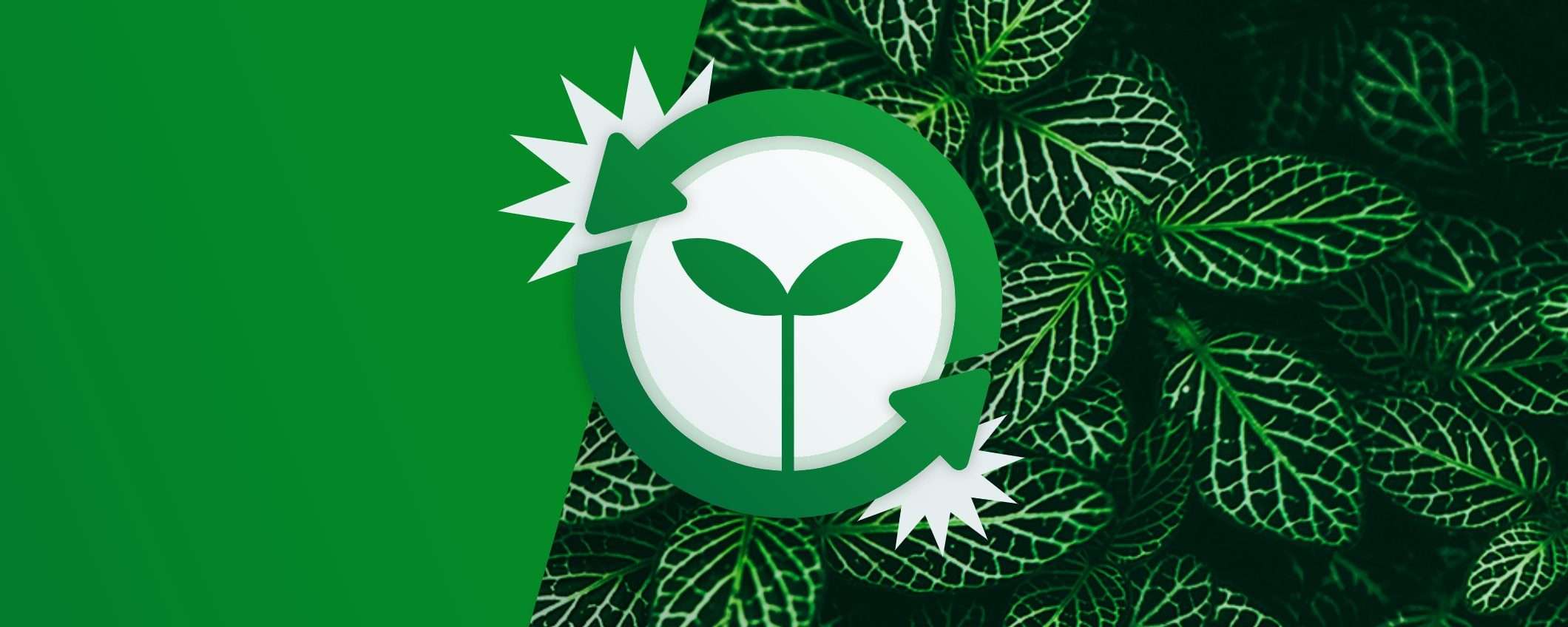 Giga Green: ecco il programma GRATIS di Very