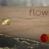 Come il cashback, ma pianti alberi: partecipa al 