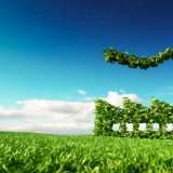 Conto Flowe gratuito e a impatto zero: ecco i vantaggi