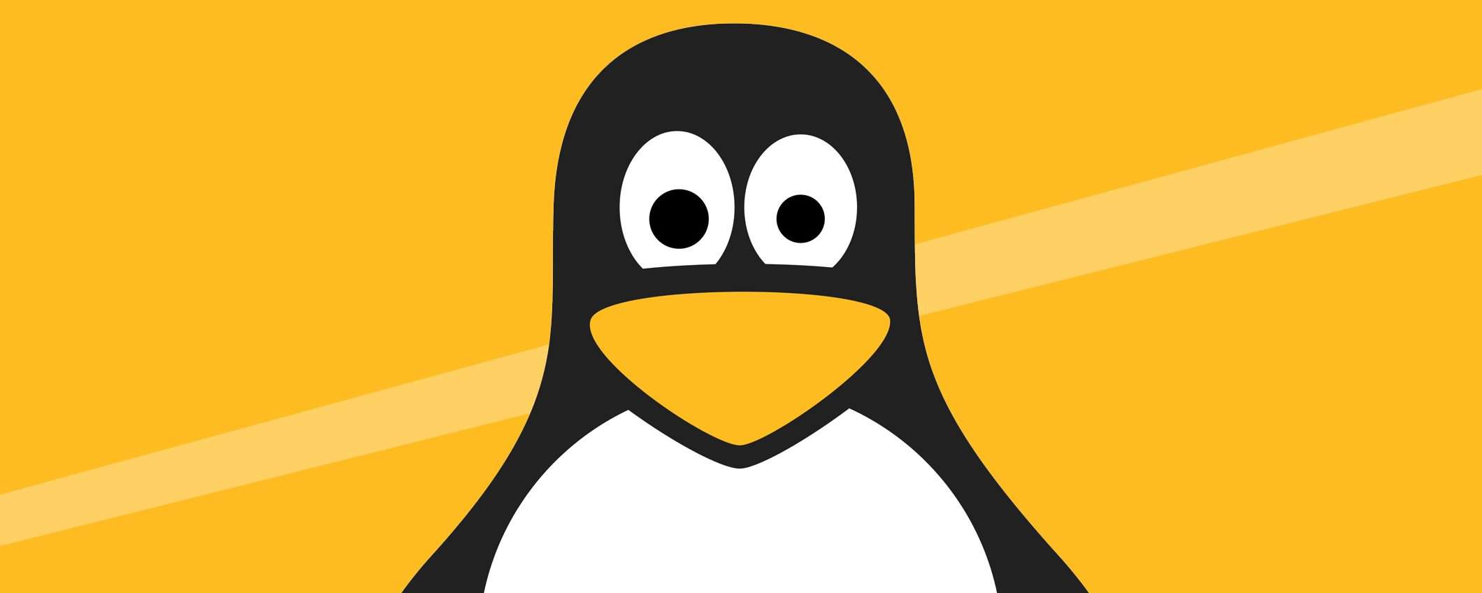 Linus Torvald annuncia la disponibilità di Linux 6.3