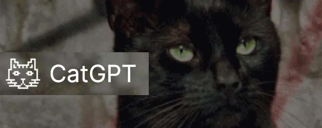 CatGPT, il chatbot IA che ti permette di parlare con i gatti