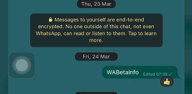 La nuova funzionalità di WhatsApp: due tap per una reazione ai messaggi