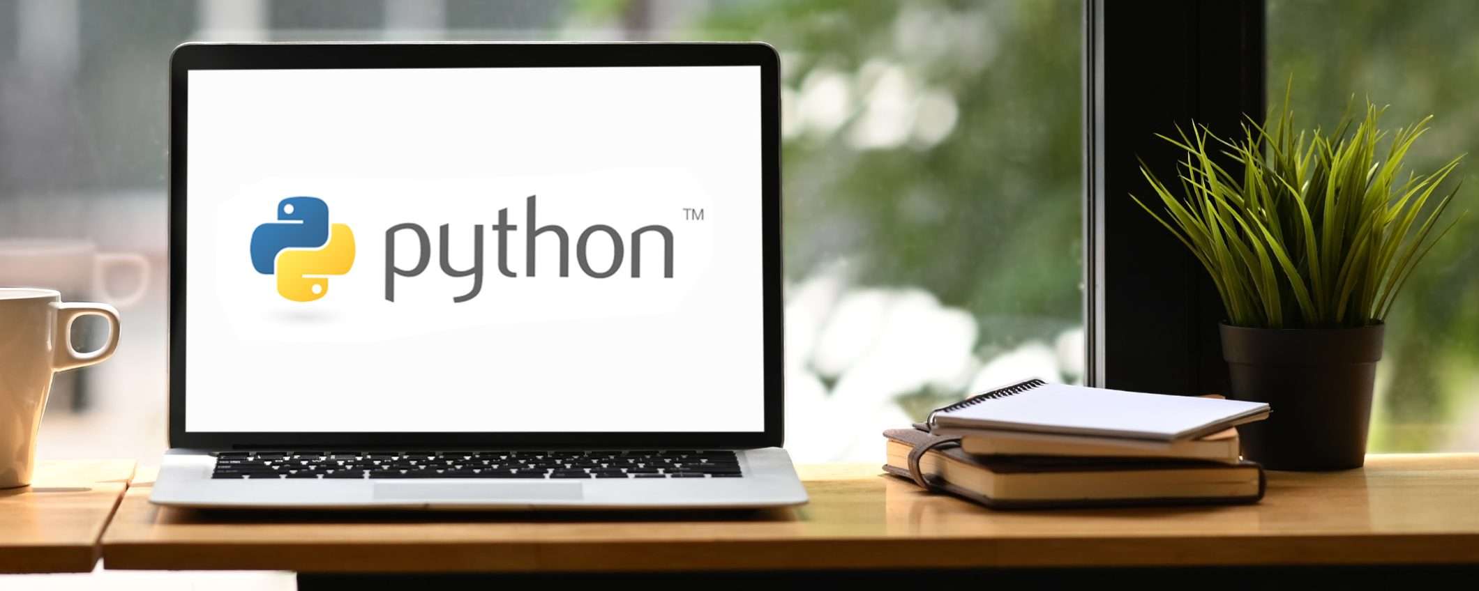 Vuoi imparare a programmare in Python? Ecco il corso completo a 16€