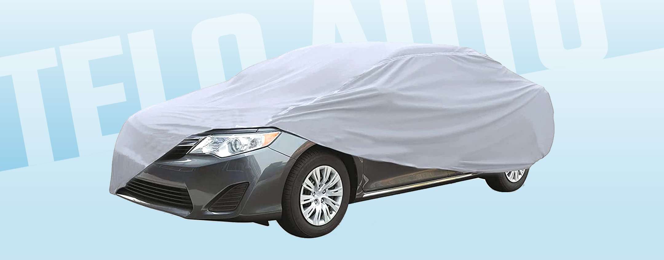 RONIN Telo Copriauto Antigrandine, Protezione Grandine, Per Auto Universale 480x300 Cm