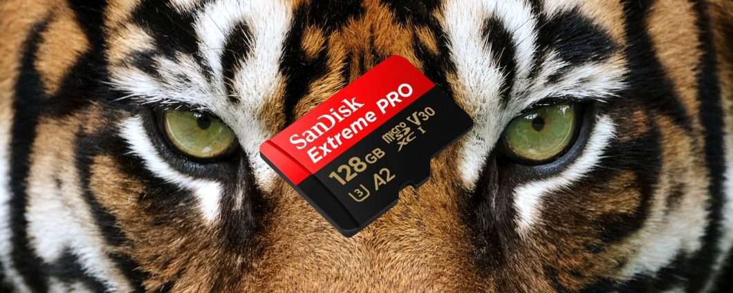 MicroSD SanDisk 128GB: velocità e sicurezza un prezzo REGALO