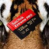 MicroSD SanDisk 128GB: velocità e sicurezza un prezzo REGALO