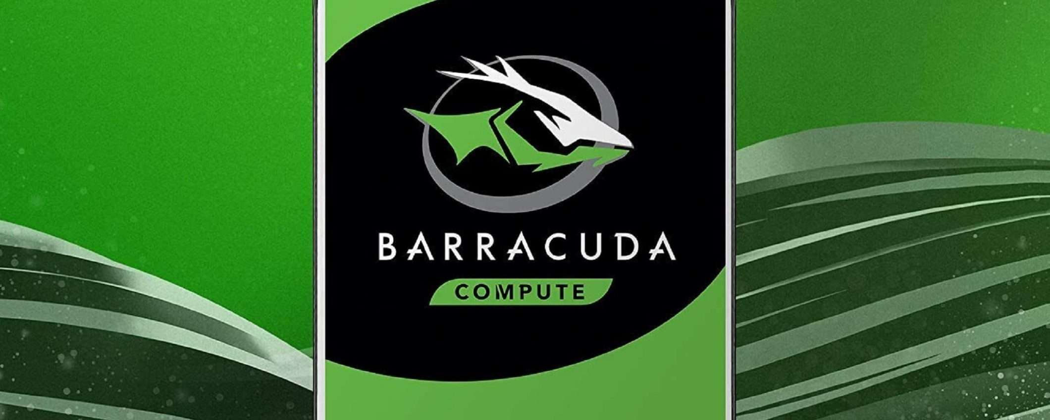 HDD interno Seagate Barracuda da 2TB a soli 53€ su eBay