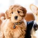 Microsoft aggiorna Foto, Snipping Tool e Phone Link