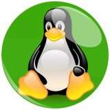 Microsoft rilascia il sottosistema Windows per Linux (WSL) 2.0.0