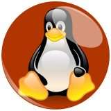 Free Download Manager rilascia script anti-malware per Linux