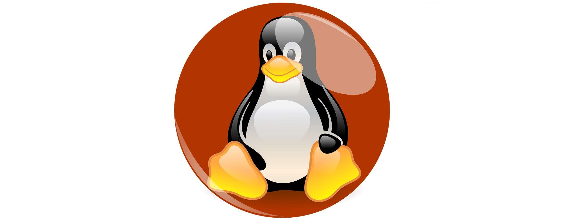 Top Free Anti-Malware Software For Linux Museums photo