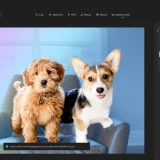 Windows Foto aggiunge la ricerca di contenuti simile a Google