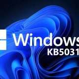 Windows 11 KB5031354: segnalati numerosi problemi