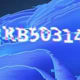 Windows 11: problemi con l'aggiornamento KB5031455