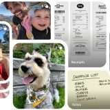 Google Foto: più ordine con le funzionalità IA