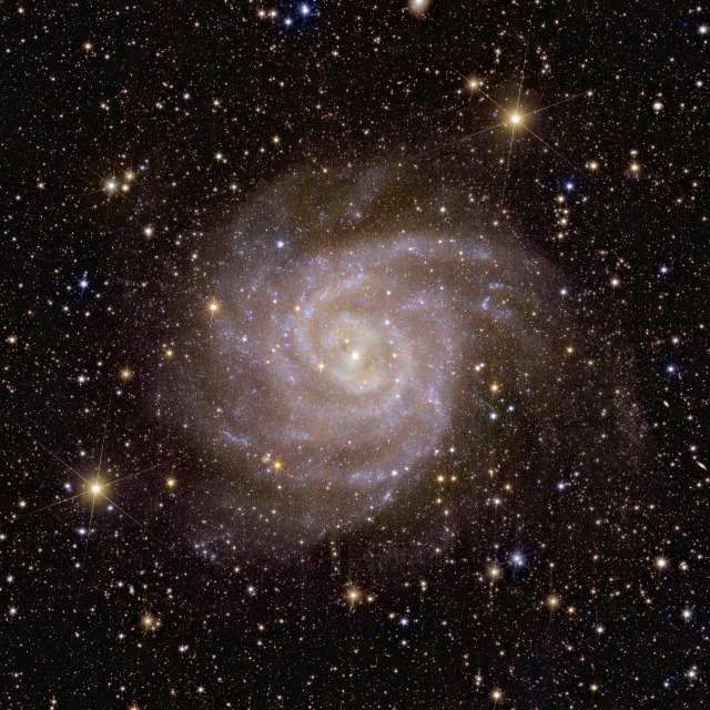 Spiral galaxy IC 342